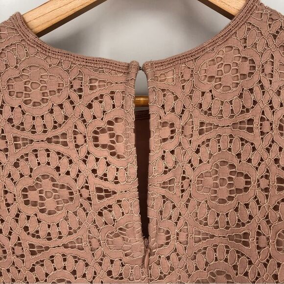 Ann Taylor Lace Peplum Top Womens Medium Pink Cap Sleeve Zip Back Slit Back - Picture 8 of 13